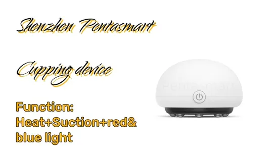 Electric Gua Sha Massage Device Guasha Therapy Bian Stone Magnet Cupping Body Massager